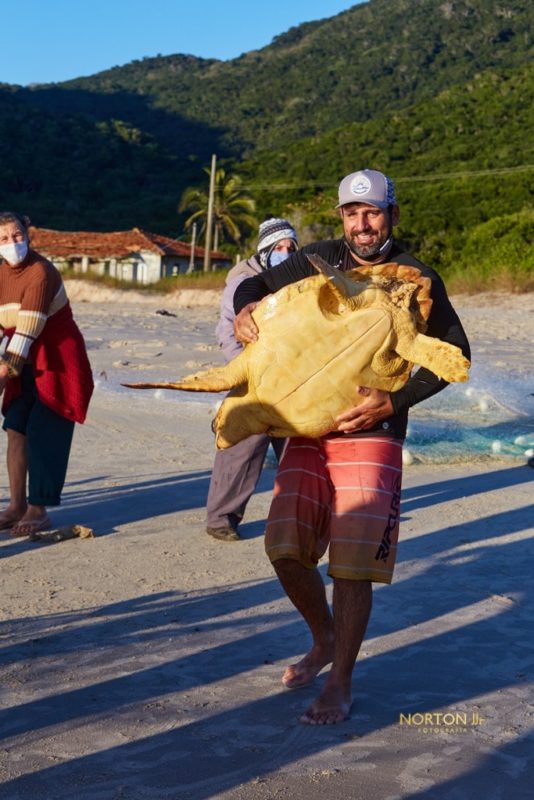 Tartaruga foi devolvida ao mar por dois pescadores