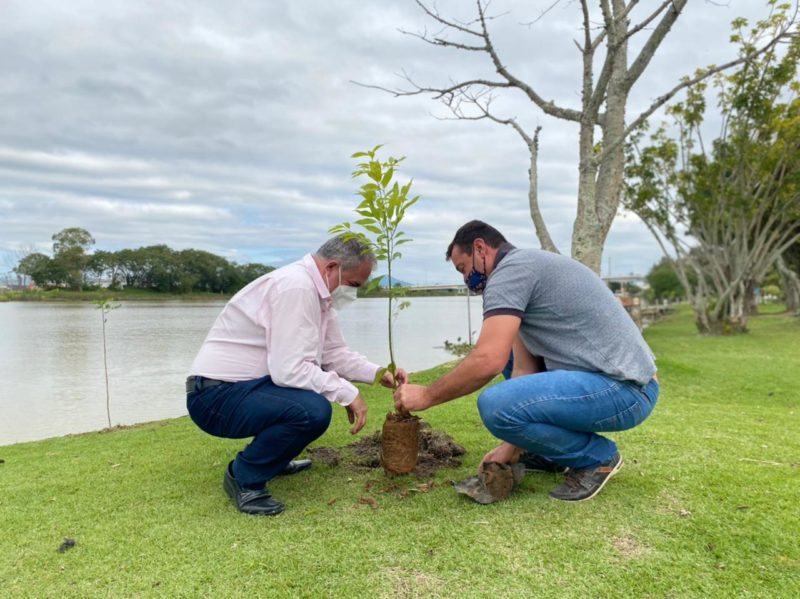 Campanha de incentivo ao plantio de árvores nativas em áreas verdes do município – Foto: PMT/Divulação/ND