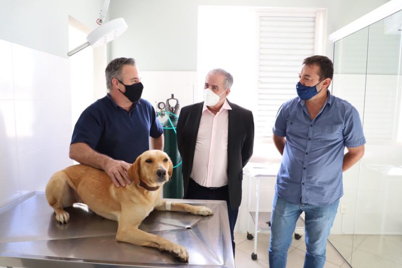 Lançado programa de castração social de animais domésticos na cidade – Foto: PMT/Divulgação/ND