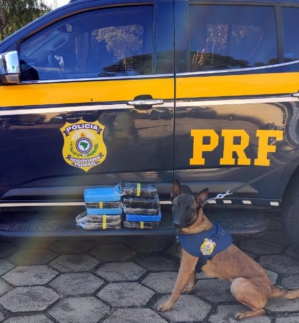 Mais de 10 quilos de crack estavam escondidos no painel de um Ford Focus com placas de Foz do Igua&ccedil;u/PR – Foto: PRF/Divulga&ccedil;&atilde;o/ND