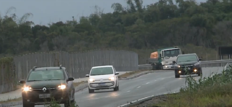 Falhas na cerca de prote&ccedil;&atilde;o aumentam atropelamentos de animais no Sul da Ilha, na Capital – Foto: Reprodu&ccedil;&atilde;o/NDTV RecordTV