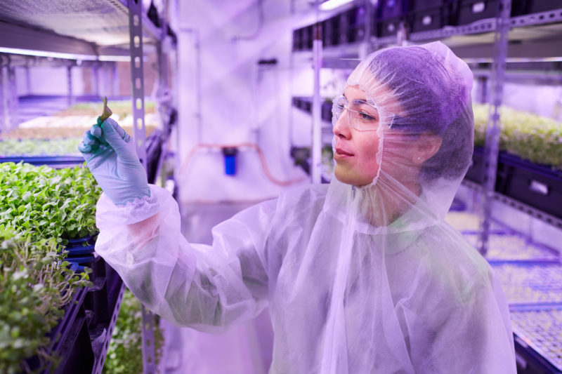 A Agricultura 4.0 adota recursos tecnológicos em busca de maior produtividade, eficácia em monitoramento e com intuito de menores impactos ambientais – Foto: Divulgação