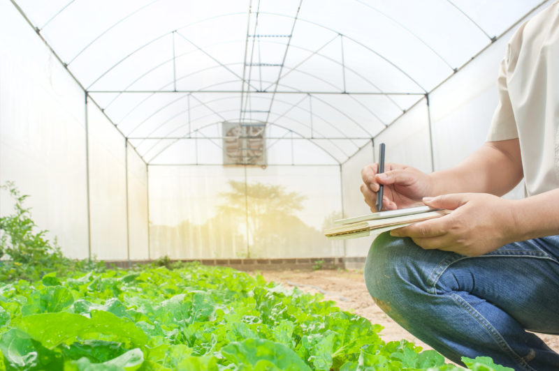 Nos próximos anos o setor terá mudanças em suas produções, visando criar políticas agrárias e ambientais que atendam à conservação da biodiversidade – Foto: Divulgação