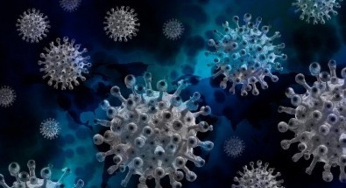 Infectados podem gerar anticorpos permanentes &#8211; Foto: Pixabay/Reprodução/ND