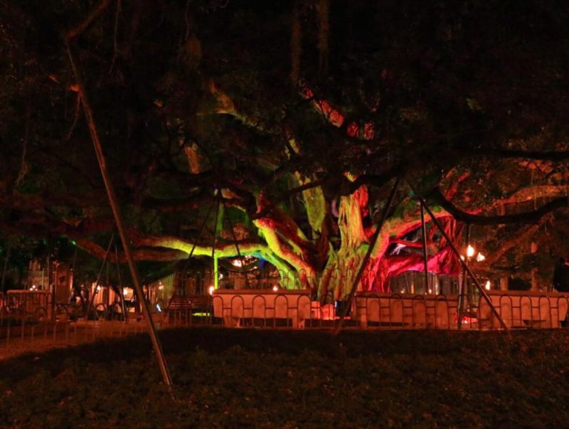 Ilumina&ccedil;&atilde;o foi feita na Pra&ccedil;a XV de Novembro, em Florian&oacute;polis – Foto: Foto: Allan Carvalho/PMF/Divulga&ccedil;&atilde;o/ND