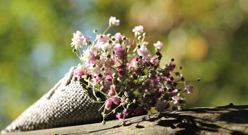 flores