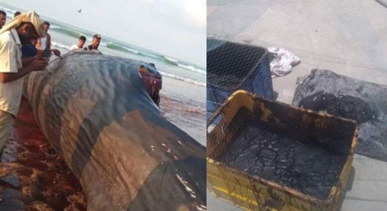Grupo de pescadores encontrou o equivalente a R$ 7,8 milhões em ‘vômito’ de baleia – Foto: Reprodução/Internet