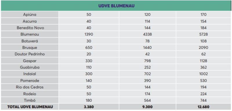 Vacinas distribuídas para a região de Blumenau – Foto: SES/Reprodução/ND