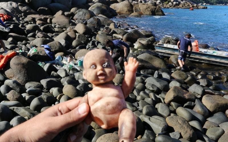 Mutir&atilde;o de limpeza no Arvoredo foi realizado neste domingo (13) – Foto: Acatmar/Divulga&ccedil;&atilde;o/ND