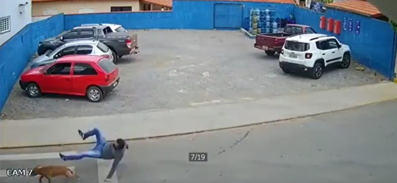 Flagrante aconteceu no domingo (6) e vídeo viralizou nas redes sociais – Foto: Reprodução/ND