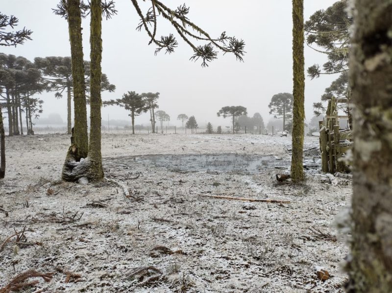 Campos amanheceram branquinhos em S&atilde;o Joaquim, na Serra de SC – Foto: Felipe Bottamedi/ND