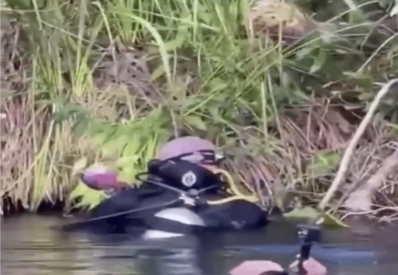 A imagem mostra o momento em que a cobra sucuri surpreende os mergulhadores – Foto: Reprodução