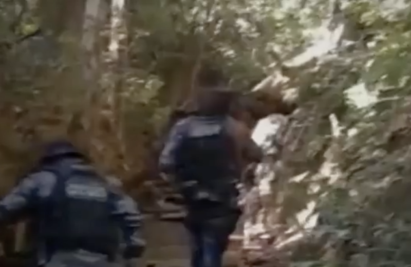 Sauke, pastor alem&atilde;o, &eacute; carregado pelo policial, ap&oacute;s ferir-se na pata – Foto: Reprodu&ccedil;&atilde;o