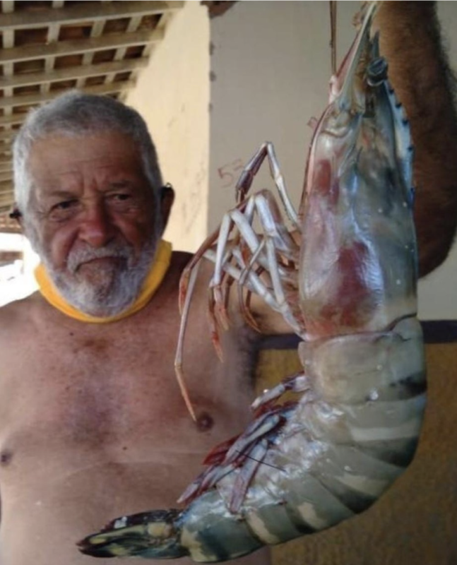 Seu Gabriel e o camar&atilde;o gigante: recorde local – Foto: Reprodu&ccedil;&atilde;o