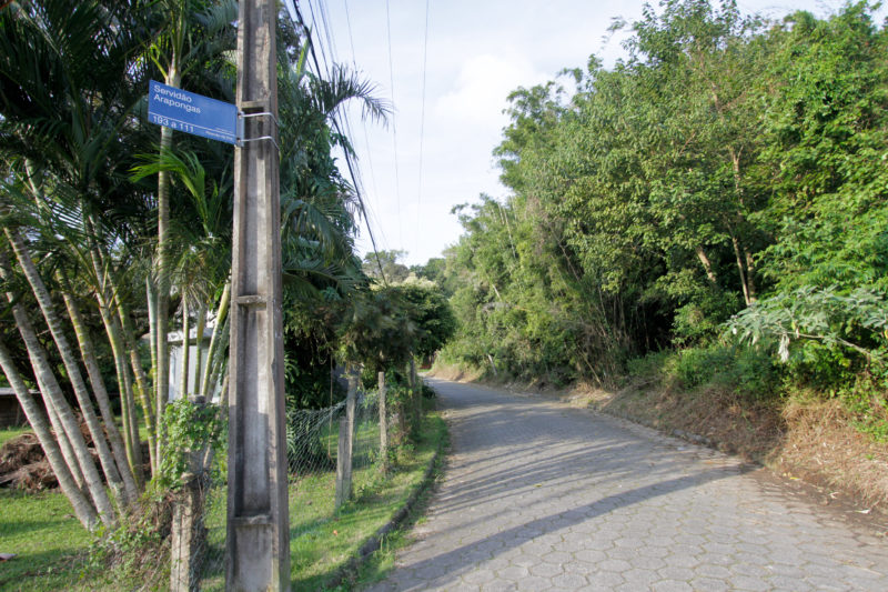 Rua do professor Gomes era rota de Belchior no Ribeirão da Ilha (foto atual) – Foto: Leo Munhoz/ND