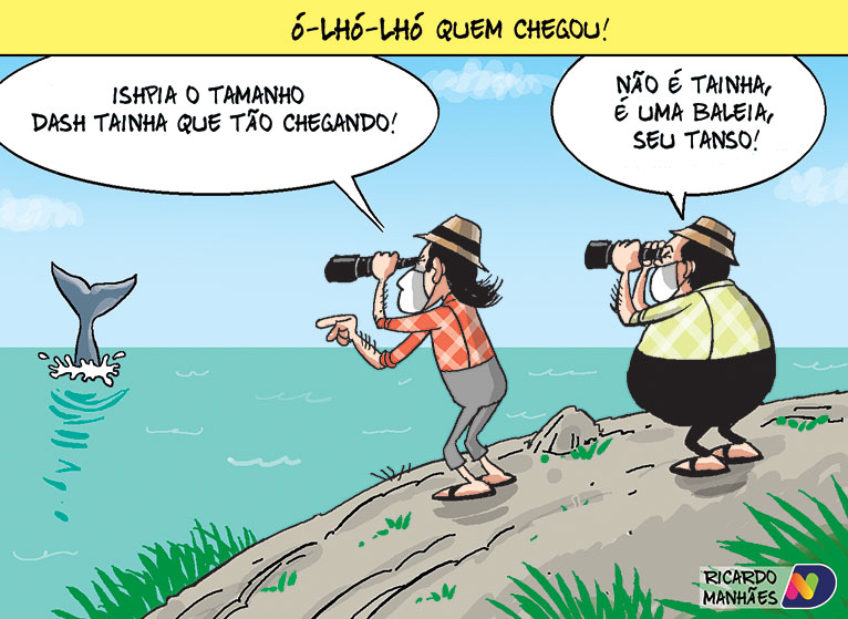 Chegada das tainhas em SC