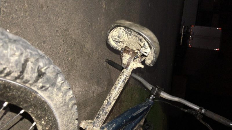 Cobra foi encontrada em assento de bicicleta
