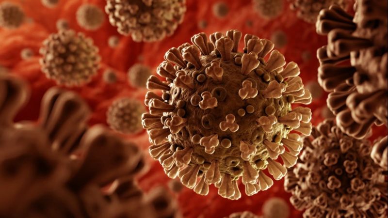 RJ notificou a informa&ccedil;&atilde;o nas &uacute;ltimas horas – Foto: Internet/ND