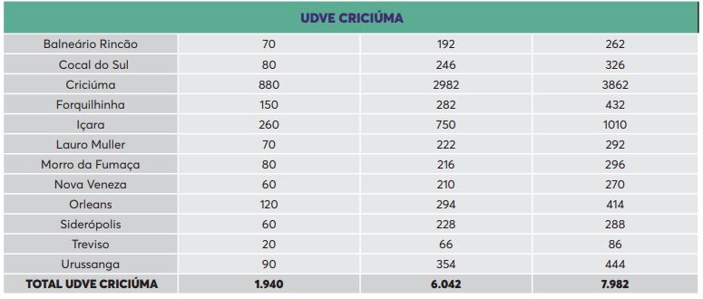 Vacinas distribuídas para a região de Criciúma – Foto: SES/Reprodução/ND
