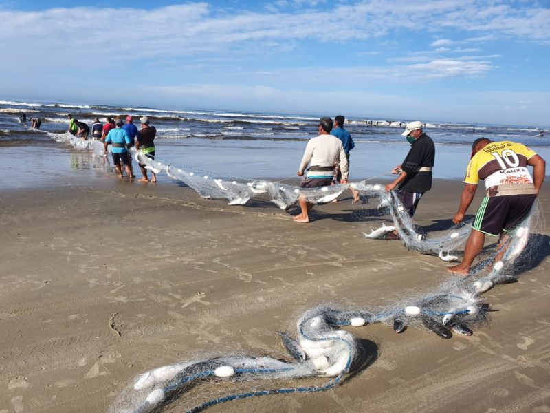 Foram pescados cerca de 10 toneladas de tainha no Balneário Rincão – Foto: Prefeitura de Balneário Rincão/ND