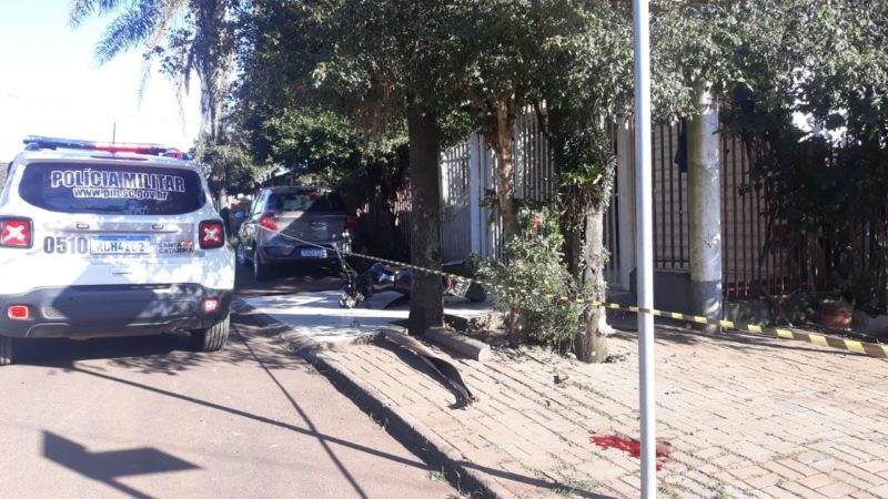 Homem bateu contra um coqueiro. – Foto: Diego Antunes/NDTV Chapecó