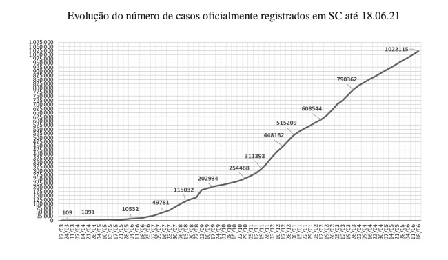 Fonte: Secretaria Estadual da Saúde – Boletins Epidemiológicos. Elaboração: NECAT