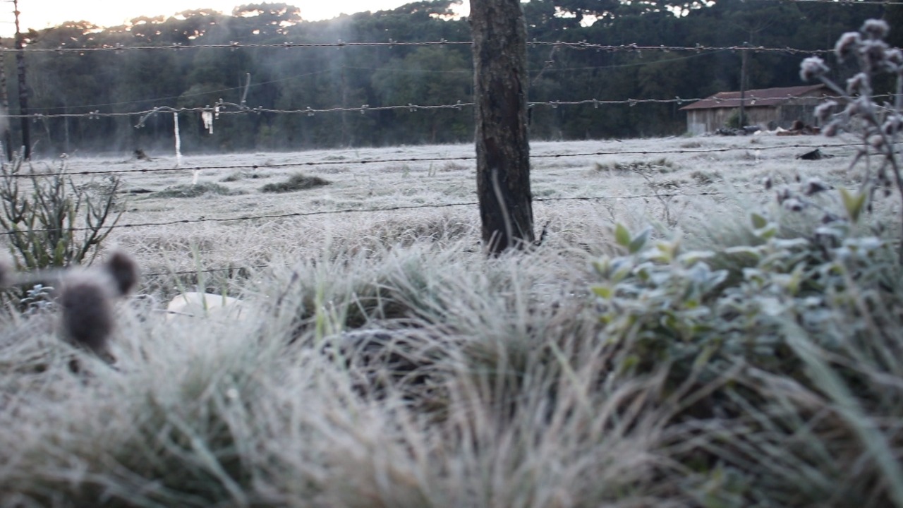 Com recordes, veja ranking das cidades