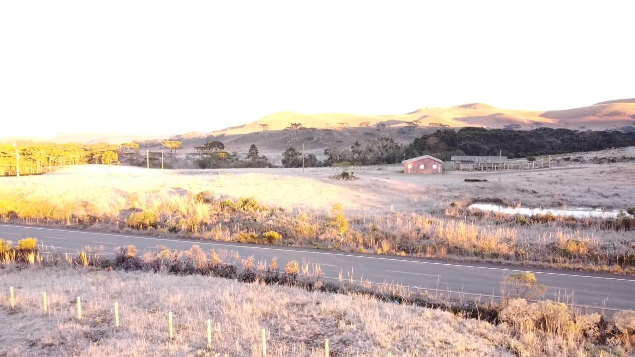 Região de Caminhos da neve amanheceu com os campos cobertos por geada - Wargner Urbano/Divulgação/ND