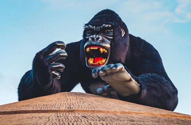 Imagem reproduz gorila de estátua onde menino caiu – Foto: Reprodução Instagram/ND