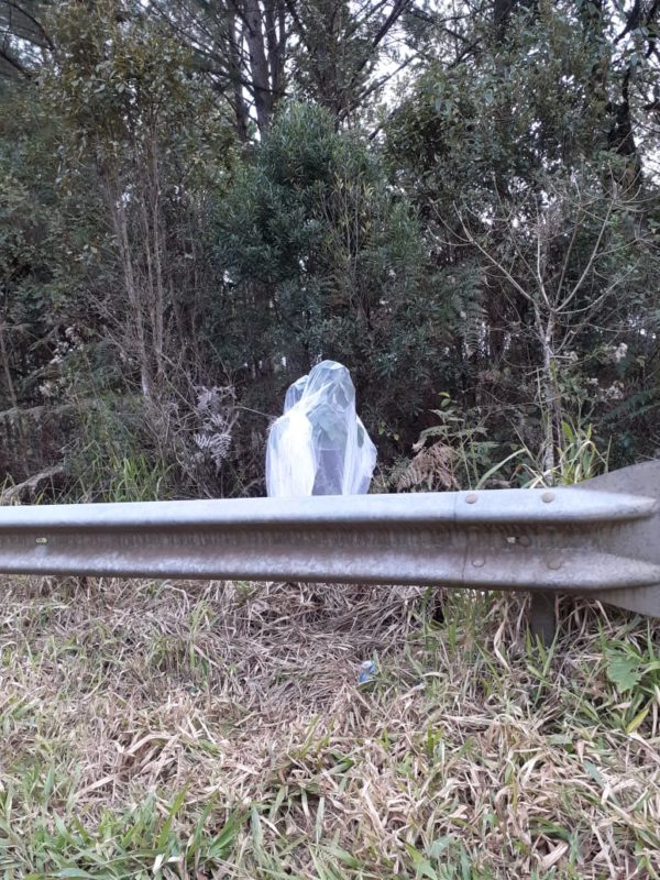 Motociclista confundiu mosqueteiro com noiva. – Foto: Luis Fernando Palhano/Divulga&ccedil;&atilde;o/ND