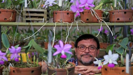 O caçador de orquídeas que registrou 287 espécies em Florianópolis