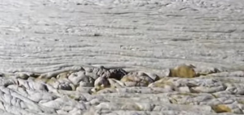 Muco no mar da Turquia mata peixes por asfixia – Foto: Reprodução / Youtube