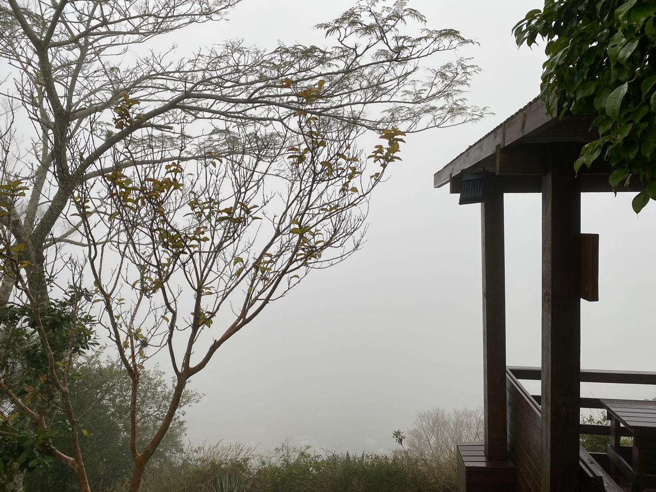 Entenda o que deixa sc com ‘cara de chuva’ e dias frios e úmidos nesta semana