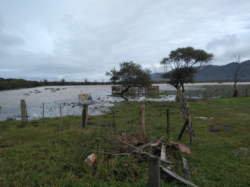 Após dois dias de chuva persistente, volume do rio Quincas, no Pântano do Sul, região Sul da Ilha de Florianópolis, ainda é alto na tarde deste domingo – Foto: Andréa Luz/ND
