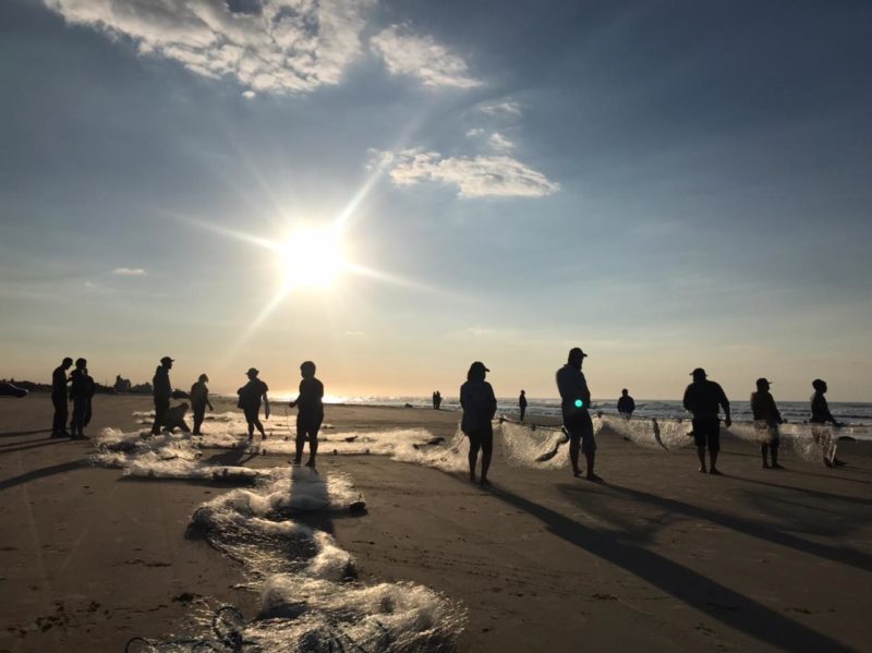 Em Balneário Rincão, região Sul do Estado, pescadores comemoraram a captura de tainha pela segunda manhã seguida. Nesta quarta-feira (2), a safra já havia sido generosa – Foto: Leandro Silva/Divulgação/ND