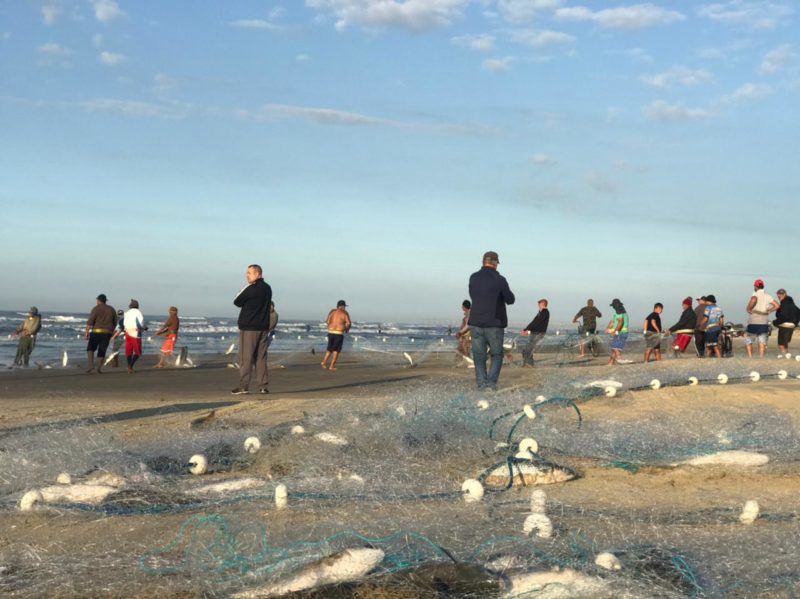 Segundo o metrologista da Epagri/Ciram Marcelo Martins, a pesca de tainha é favorável ao longo da quinta-feira. “A tendência é que a tainha toda que se desloca ao longo do Litoral do Sul do Brasil fuja para direções mais ao Sudeste, passando por todo o nosso Litoral”. A partir de segunda-feira (7), o tempo deve voltar a esfriar, favorecendo ainda mais a captura dos peixes – Foto: Leandro Silva/Divulgação/ND