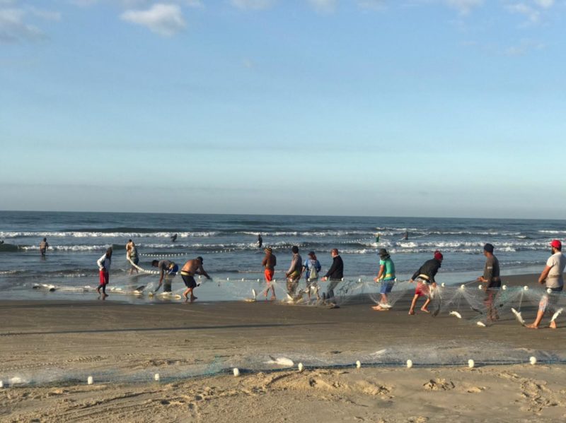 Captura de tainha em Balneário Rincão, Sul do Estado, na manhã desta quinta. A pesca da tainha costuma ser mais expressiva nos dias frios, já que os cardumes tendem a “subir” para o Litoral Norte catarinense. Nas primeira horas do dia, os termômetros marcaram 14°C na região – Foto: Leandro Silva/Divulgação/ND