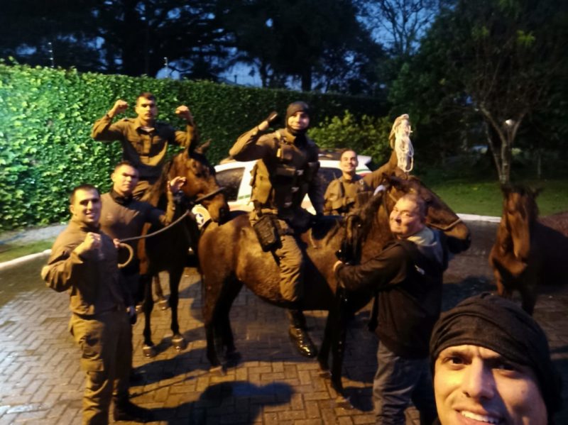 Policiais militares resgataram três cavalos em córrego de Florianópolis – Foto: Divulgação/PMSC