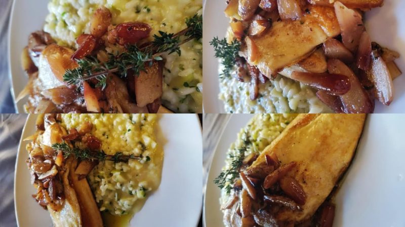 Truta se adaptou bem ao frio da Serra catarinense – Foto: Felipe Bottamedi/ND