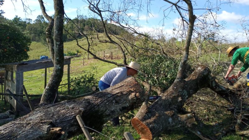 temporal deixou estragos