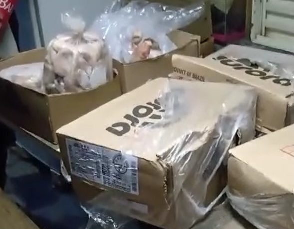 Saqueadores de caminhão que tombou em SC se decepcionam ao abrirem mercadorias – Foto: Reprodução/Redes Sociais
