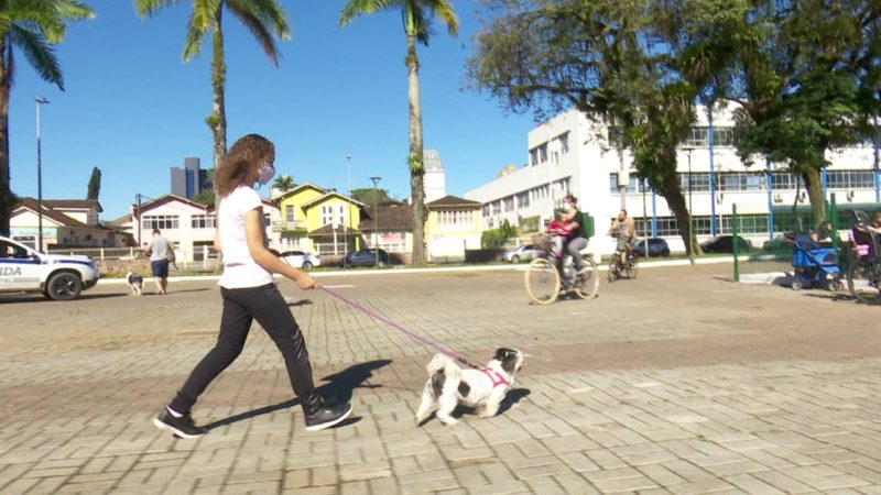 centro de joinville revitalizado 