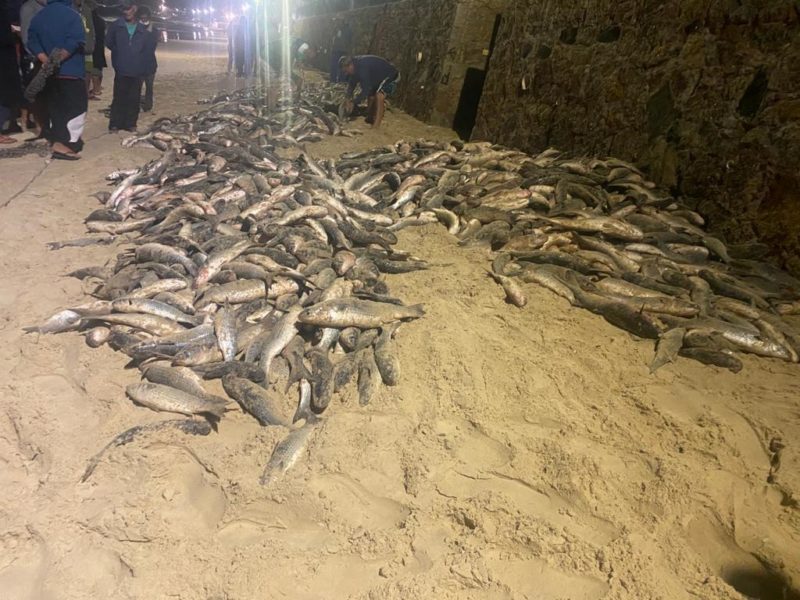 Pescadores madrugaram para o primeiro lanço desta sexta