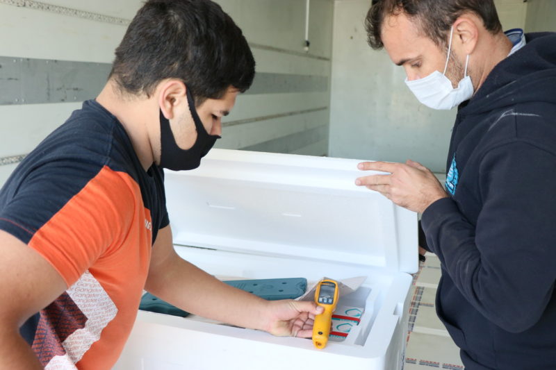 Vacinas que chegaram nesta quarta-feira serão utilizadas para D1