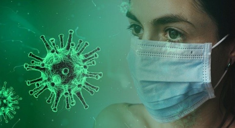 Nova variante, que já matou 13 pessoas, preocupa especialistas brasileiros – Foto: Pixabay/Reprodução/ND
