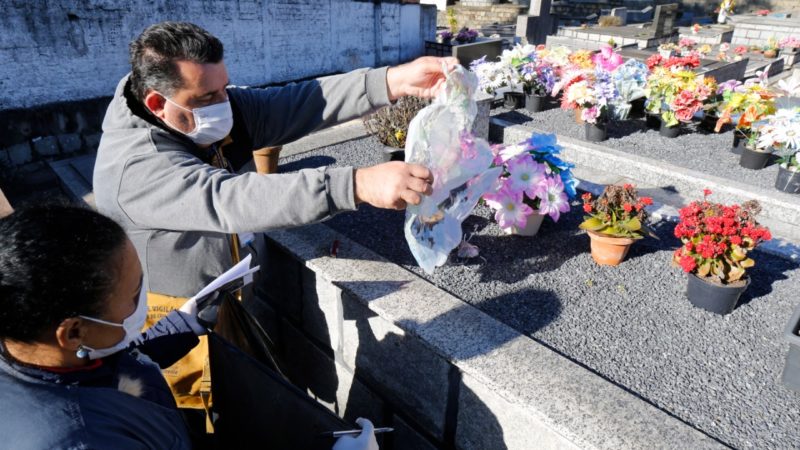 Visitantes t&ecirc;m prazo para fazer limpeza e manuten&ccedil;&atilde;o de sepulturas em Joinville – Foto: Prefeitura de Joinville
