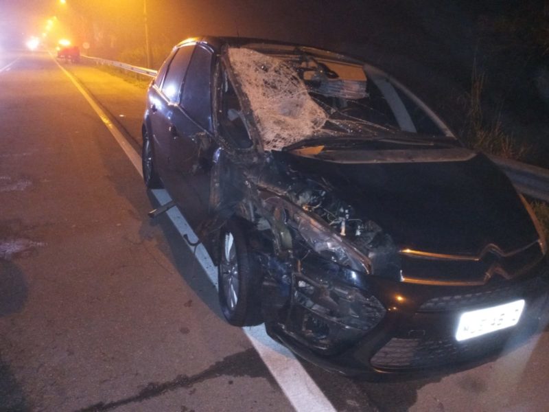 Apesar do estrago, passageiros do carro não tiveram ferimentos