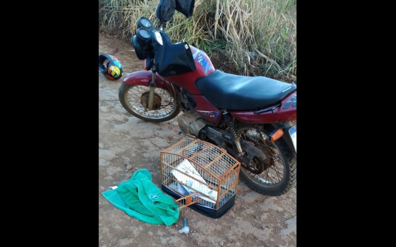 Homem foi encontrado morto ao lado de motocicleta e gaiola em Arvoredo – Foto: Divulga&ccedil;&atilde;o/Pol&iacute;cia Militar