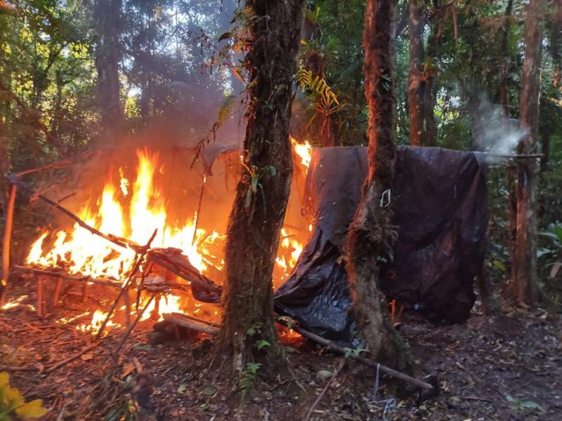 Rancho utilizado por ca&ccedil;adores em mata de Schroeder &eacute; destru&iacute;do pela pol&iacute;cia – Foto: Pol&iacute;cia Militar Ambiental/Divulga&ccedil;&atilde;o