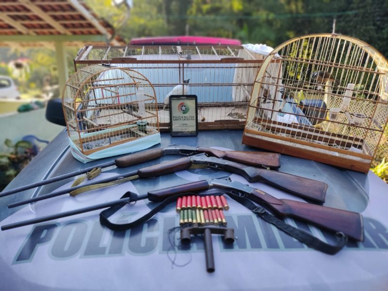 Armas, munições e aves são comumente apreendidos em operações &#8211; Foto: PMA/Divulgação